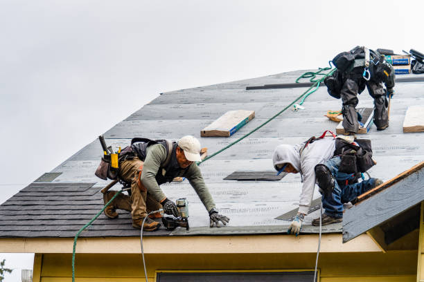 Professional Gutter Installation technician working in La Grange, TX